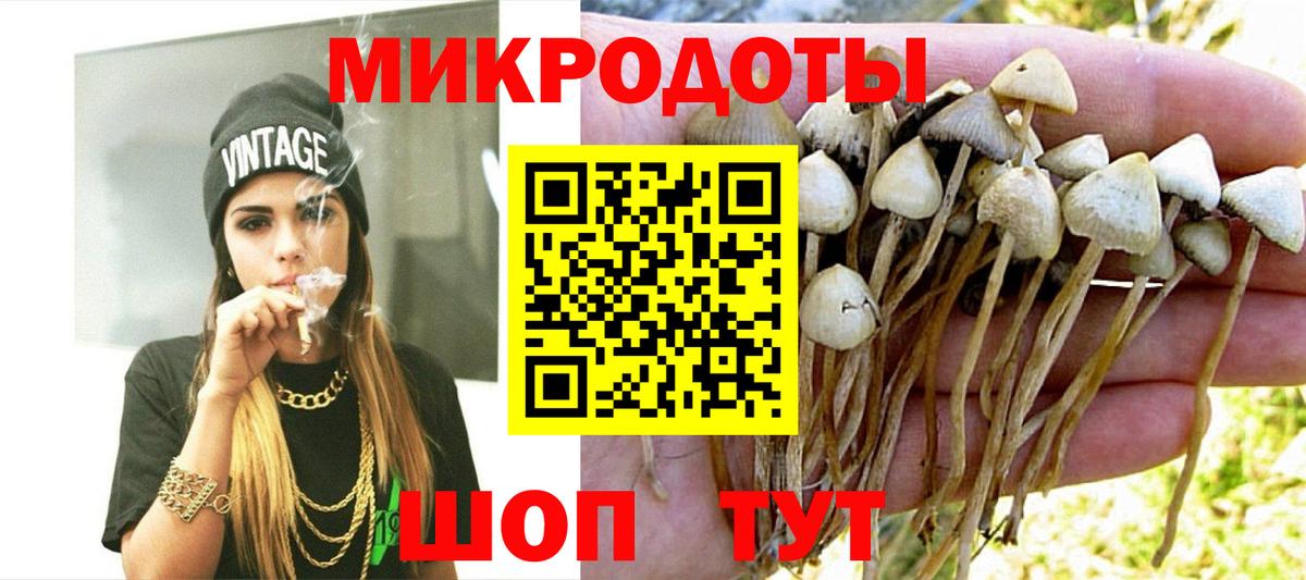 Псилоцибиновые грибы мухоморы  где купить наркотик  Псилоцибиновые грибы Cubensis  Чернушка  Вход с VPN 
