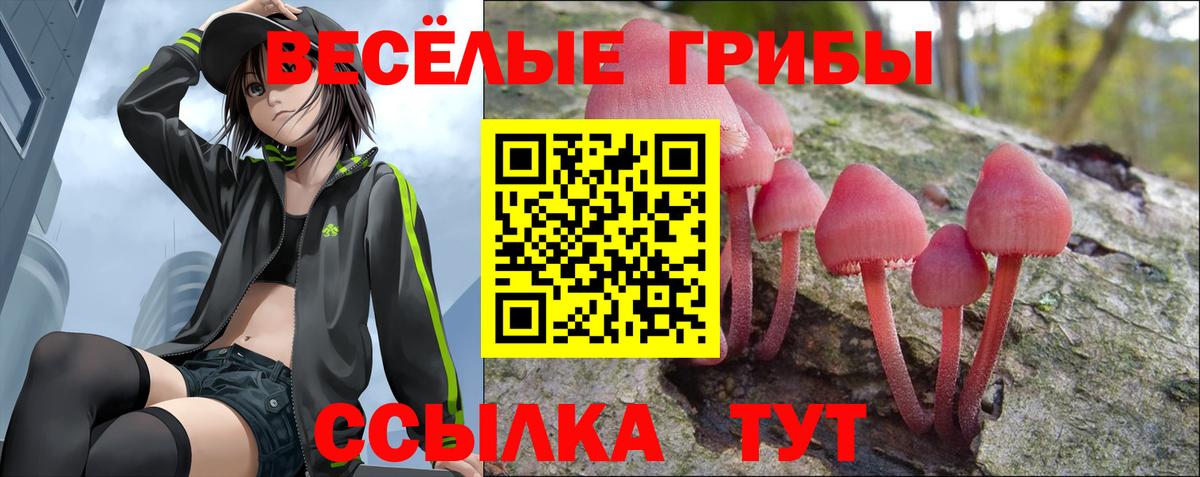 Галлюциногенные грибы GOLDEN TEACHER Чернушка